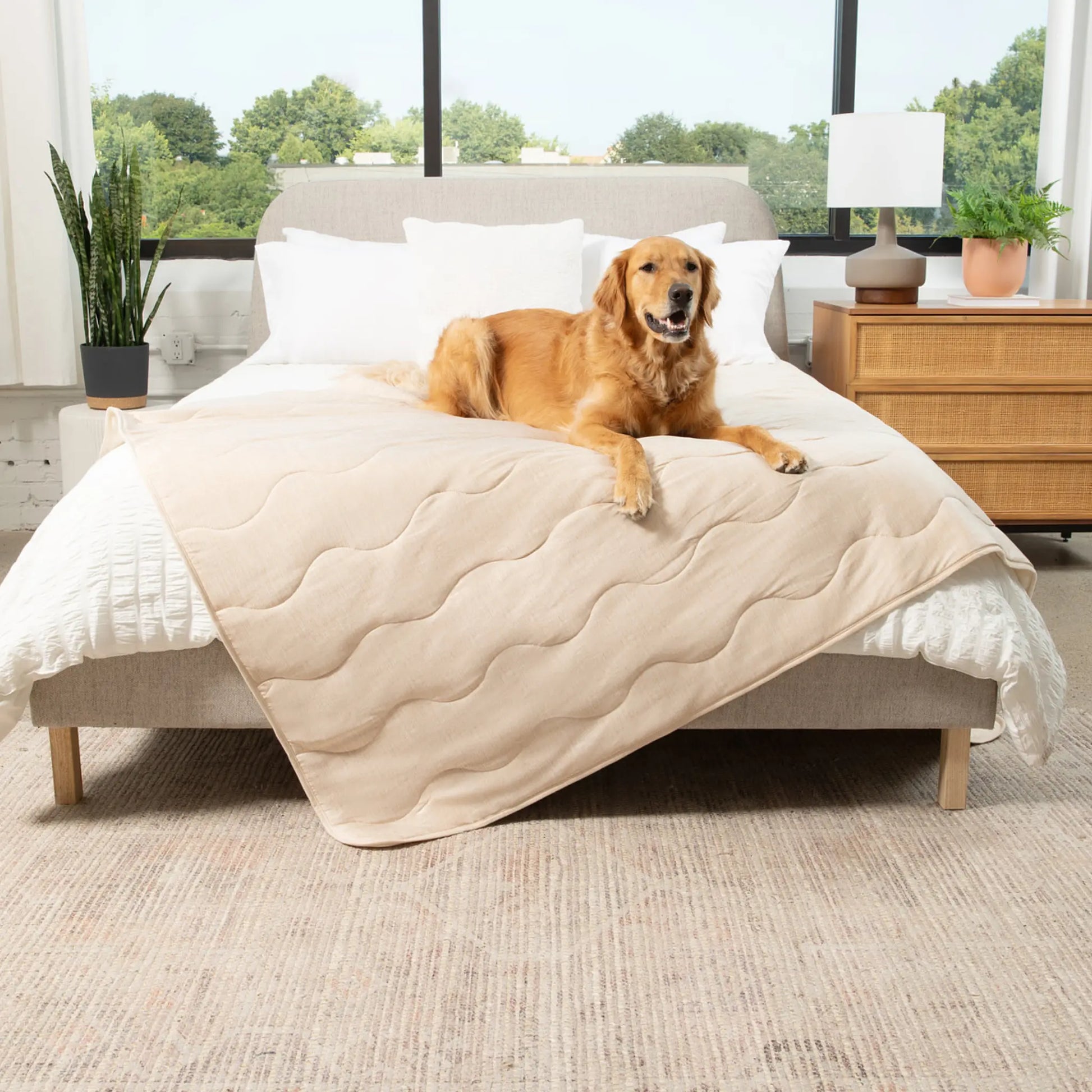 PupChill™ Cooling Waterproof Blanket - Arctic Sand Paw.com