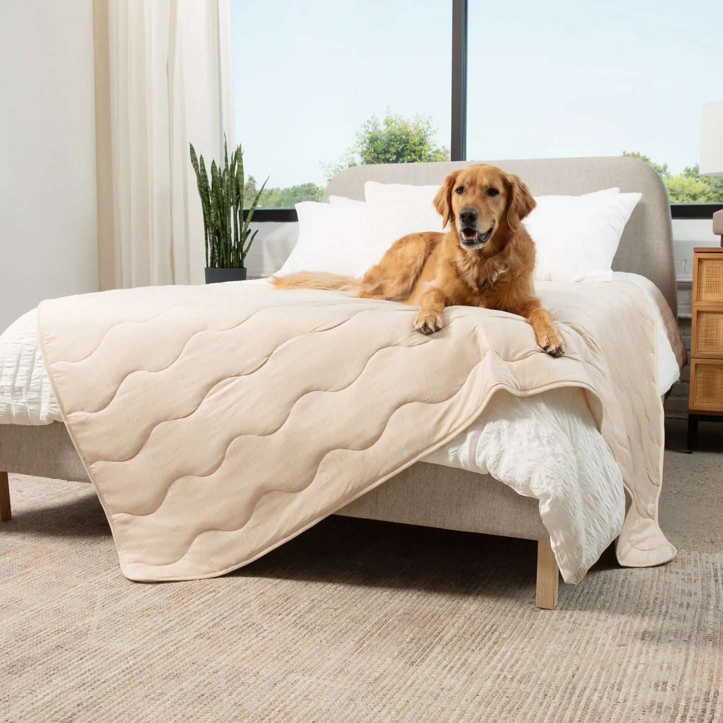 PupChill™ Cooling Waterproof Blanket - Arctic Sand Paw.com