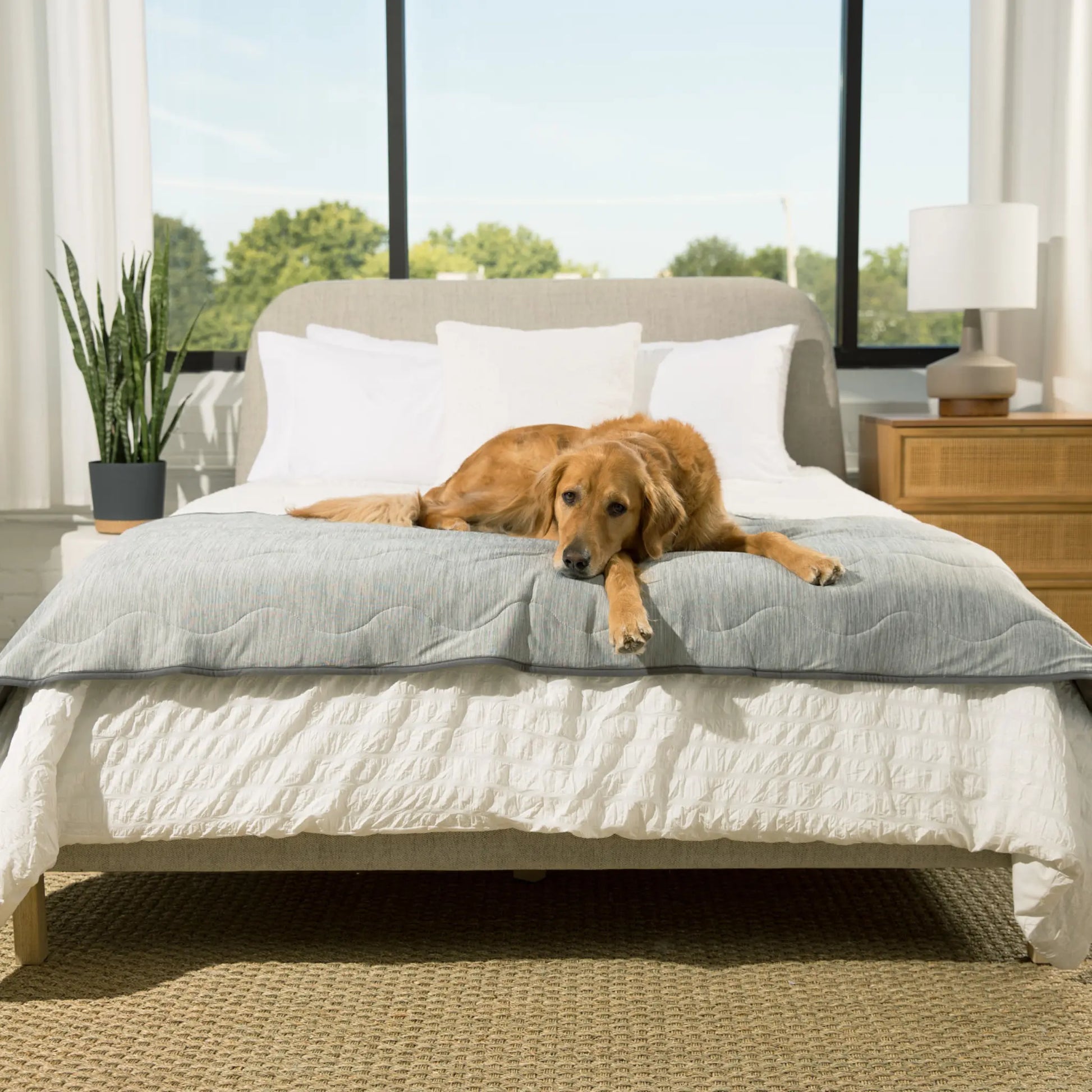 PupChill™ Cooling Waterproof Runner Blanket - Arctic Grey Paw.com