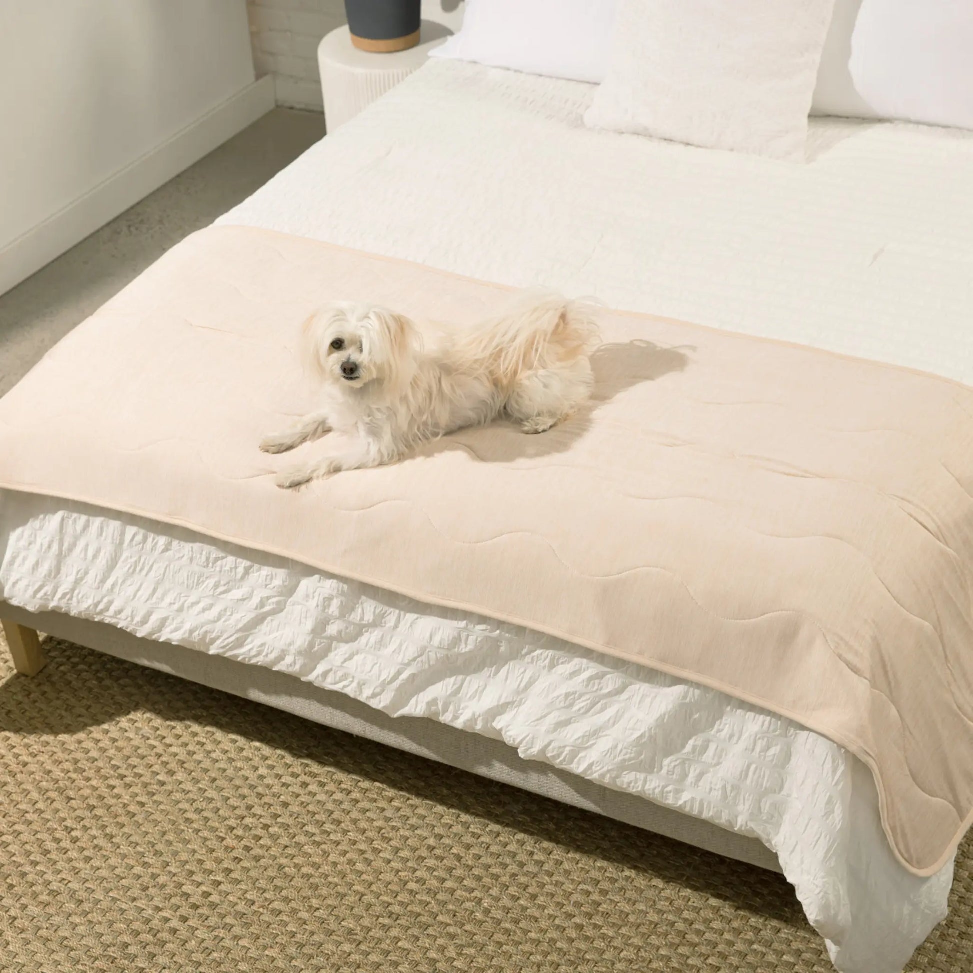 PupChill™ Cooling Waterproof Runner Blanket - Arctic Sand Paw.com