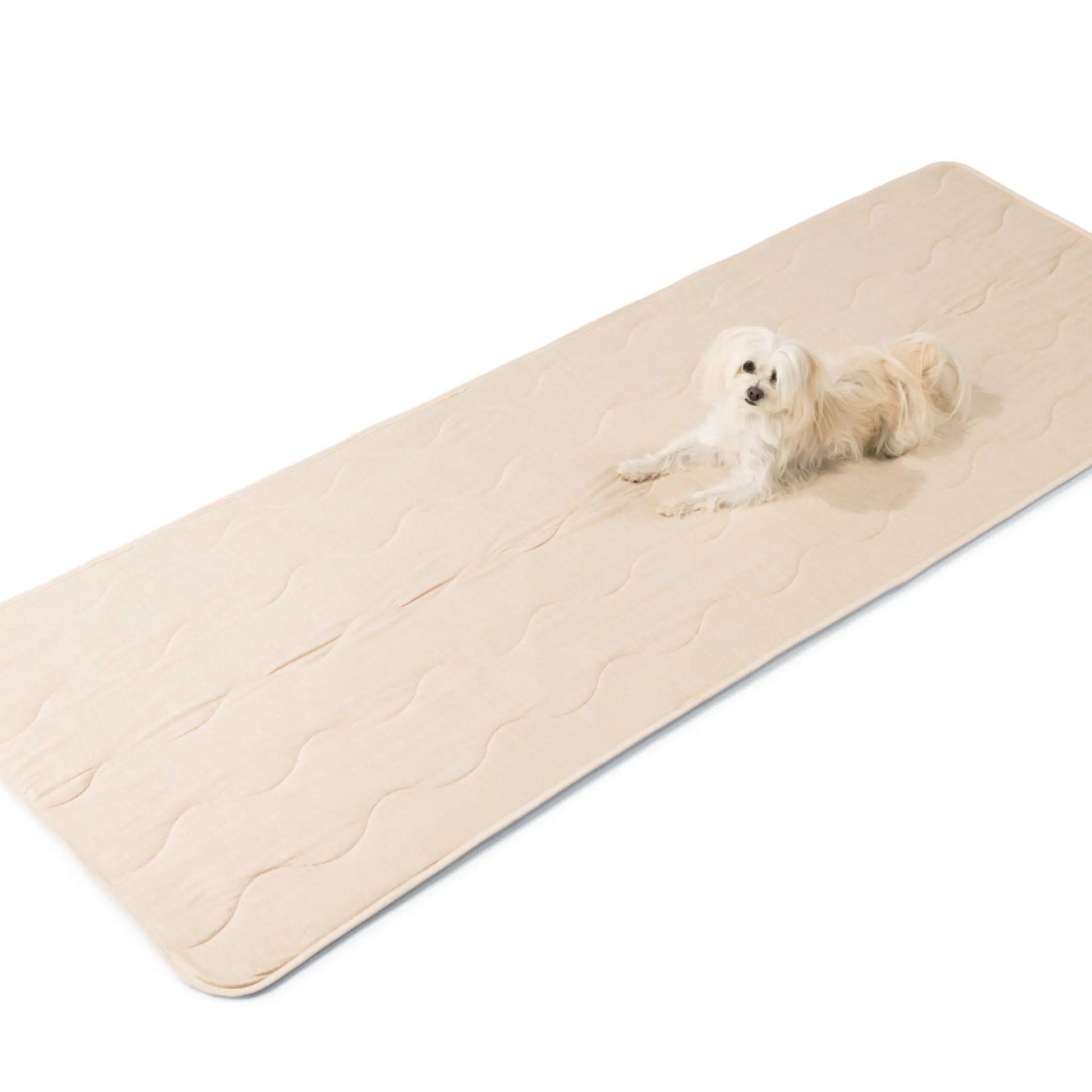 PupChill™ Cooling Waterproof Runner Blanket - Arctic Sand Paw.com