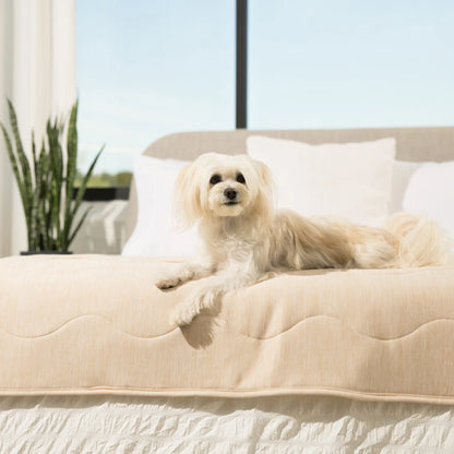 PupChill™ Cooling Waterproof Runner Blanket - Arctic Sand Paw.com