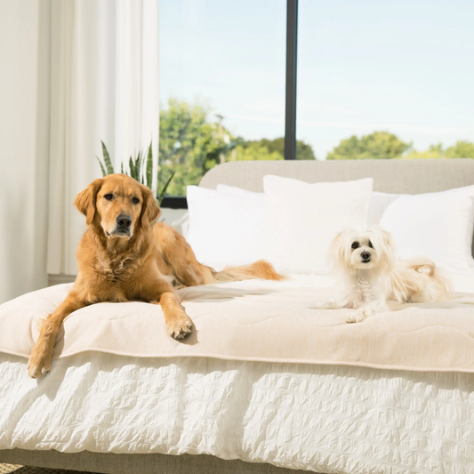 PupChill™ Cooling Waterproof Runner Blanket - Arctic Sand Paw.com