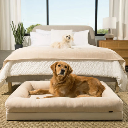 PupChill™ Cooling Waterproof Runner Blanket - Arctic Sand Paw.com