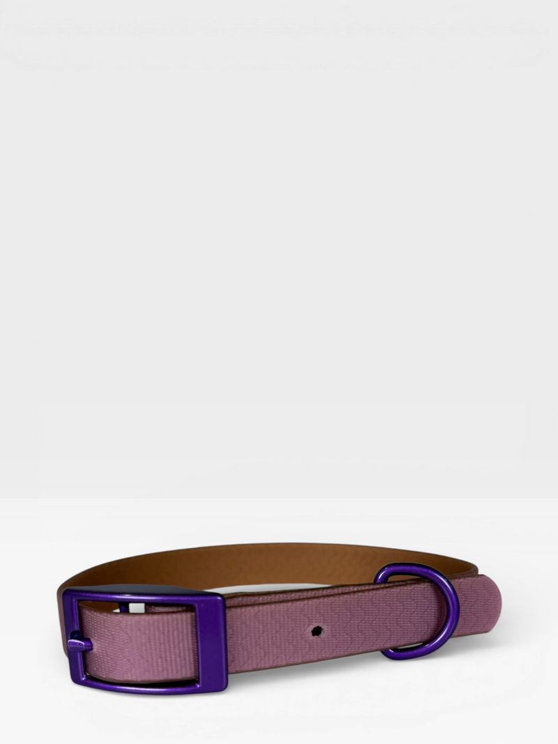 Blue Jelly Collar - Waterproof Collar For Small Dogs