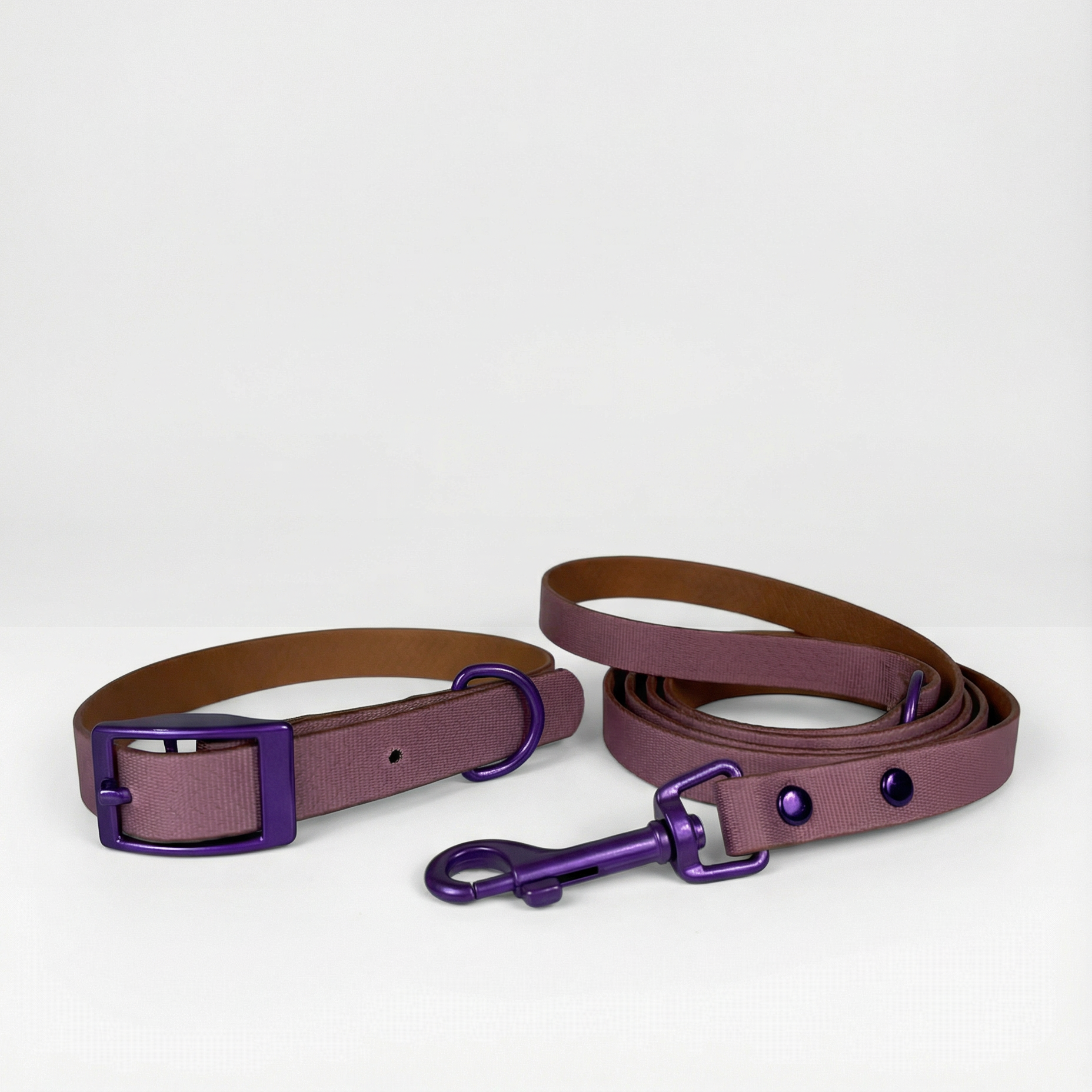 Jelly Waterproof Collar and Leash Set for Small Dogs