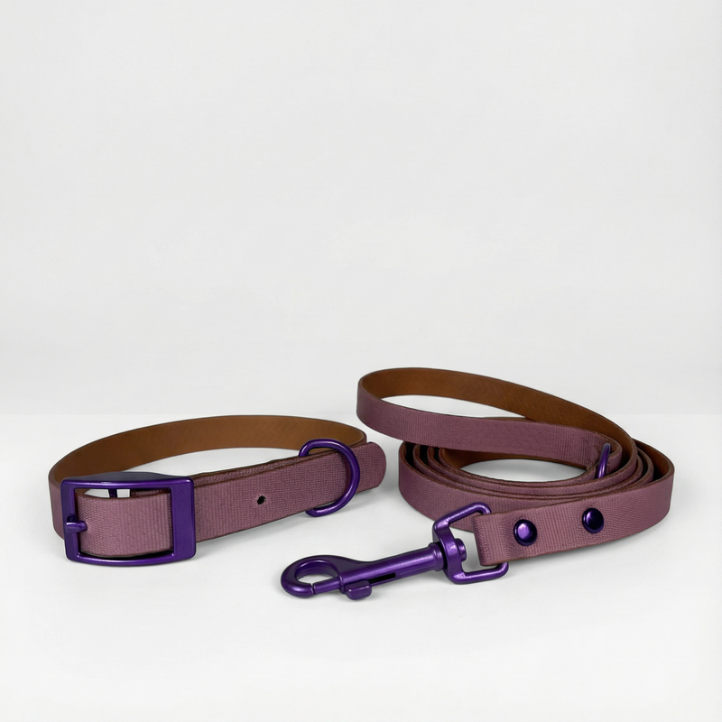 Jelly Waterproof Collar and Leash Set for Small Dogs