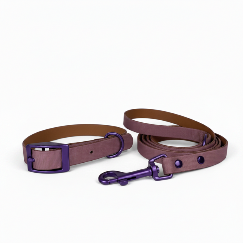Jelly Waterproof Collar and Leash Set for Small Dogs (4 Colors)