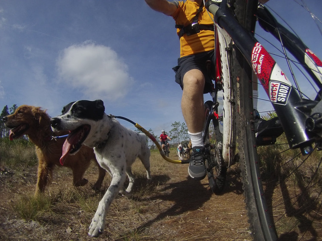 Dog Coupler for Biking and Walking