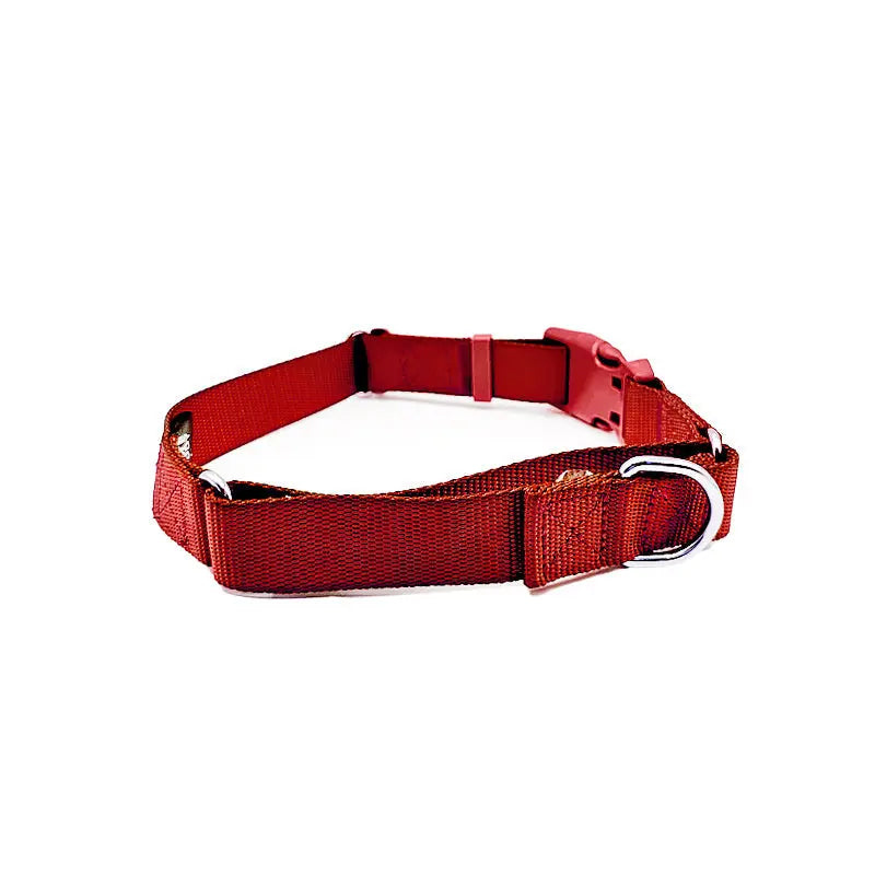 Martingale Dog Collar - K9 Outdoors