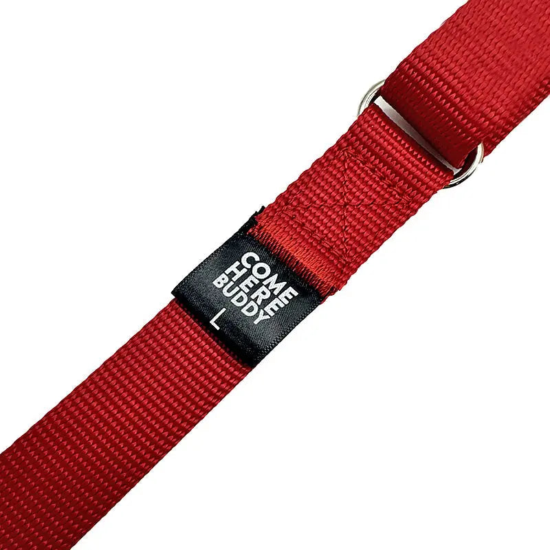 Martingale Dog Collar - K9 Outdoors