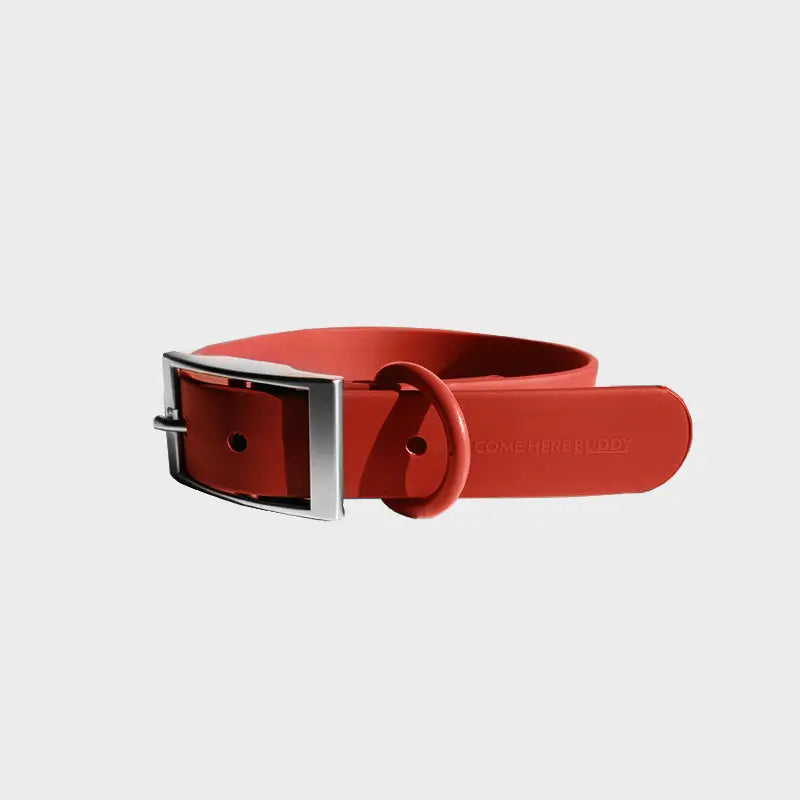 Everyday Collar - K9 Outdoors