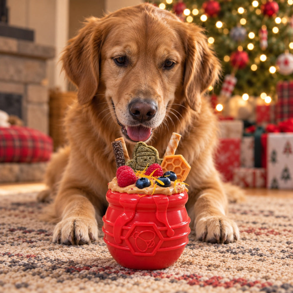 Honey Pot Dog eCup Treat Dispenser | Durable PUP-X Rubber Enrichment Toy | USA Made by SodaPup/True Dogs, LLC