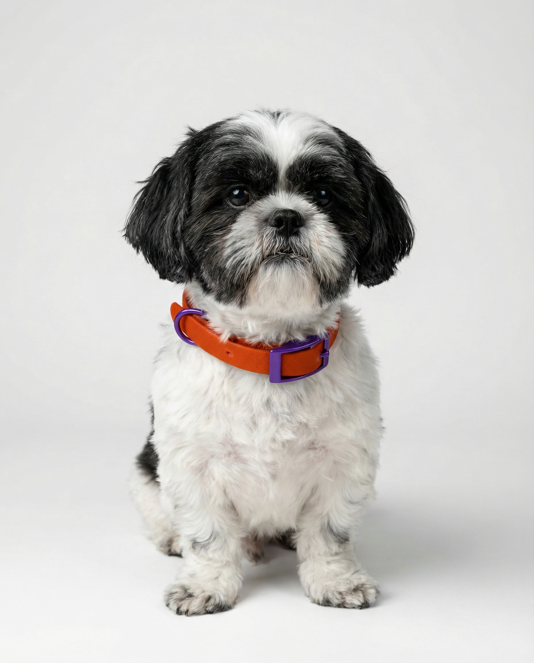 Red Jelly Collar - Waterproof Collar For Small Dogs