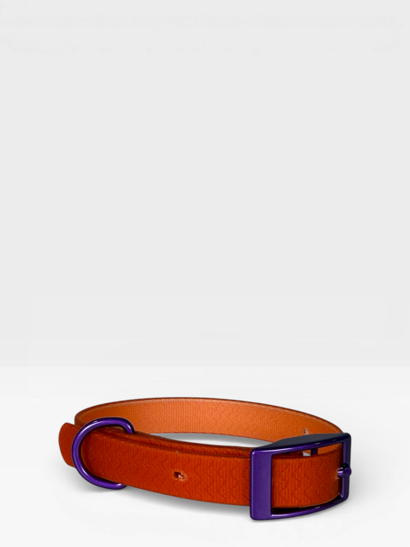 Blue Jelly Collar - Waterproof Collar For Small Dogs