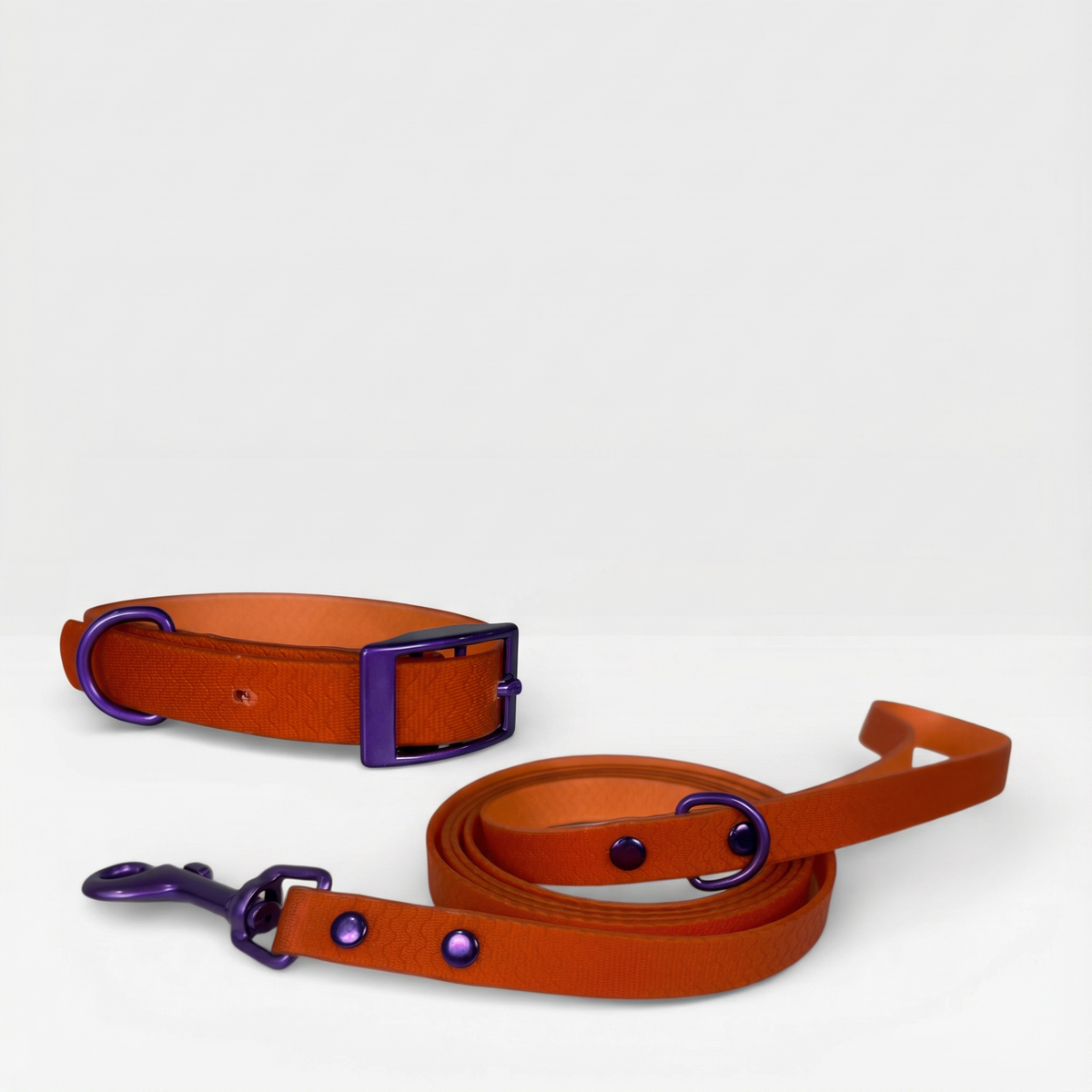 Jelly Waterproof Collar and Leash Set for Small Dogs