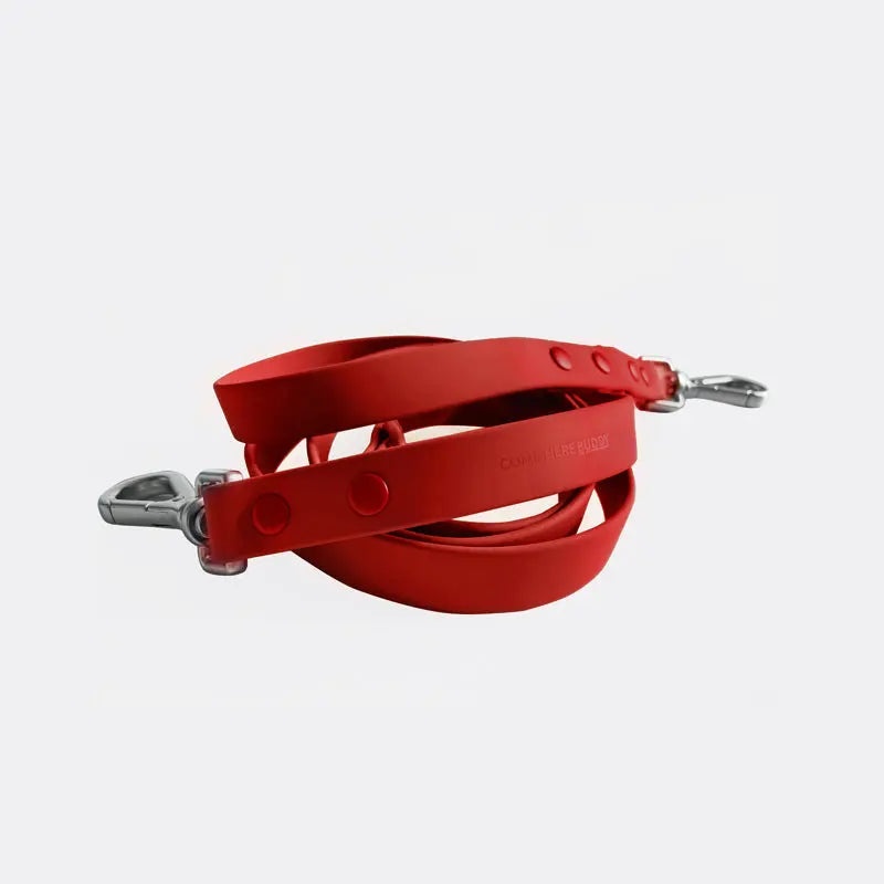 Leash - K9 Outdoors