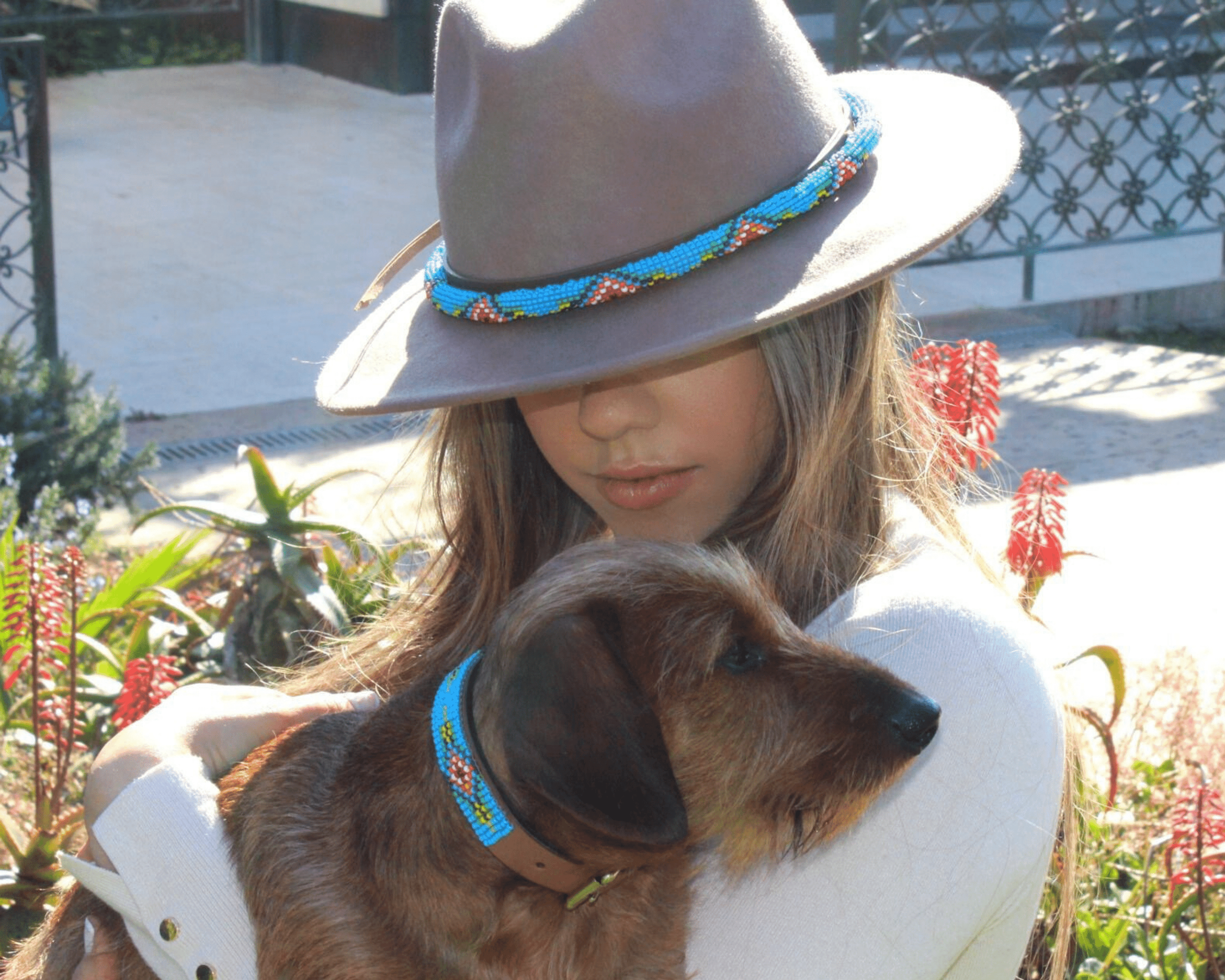 Blue Vogue Sambboho dog collar