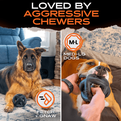 Ring Ball Monster K9 Dog Toys