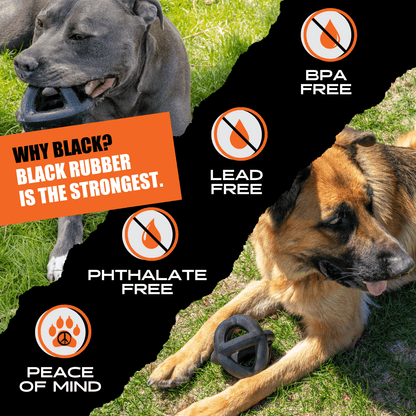 Ring Ball Monster K9 Dog Toys