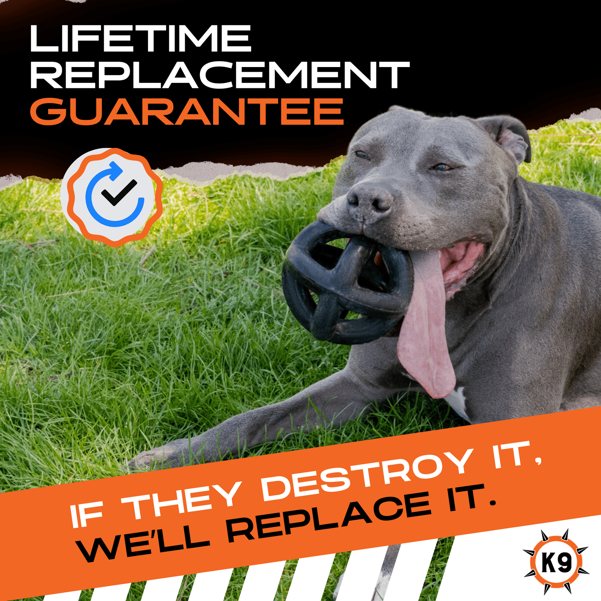 Ring Ball Monster K9 Dog Toys