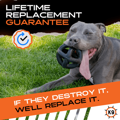 Ring Ball Monster K9 Dog Toys