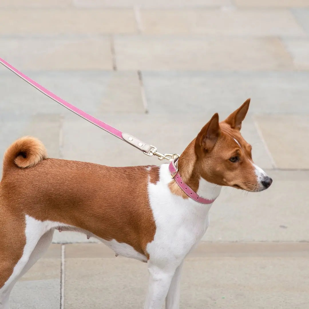 Leash 4ft - Vegan Leather - Rio Nina Woof