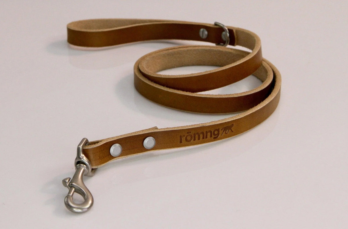 handmade leather dog leash by rōmng