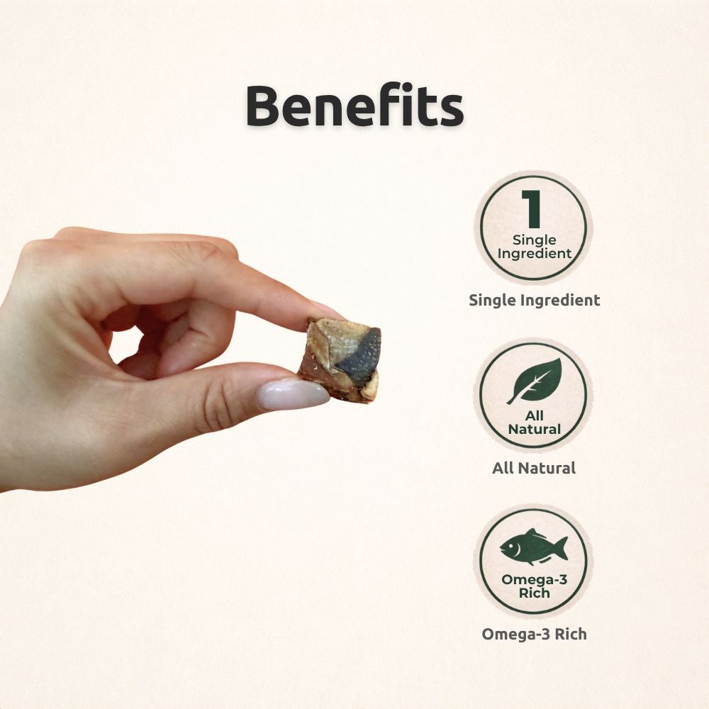 Freezbone Salmon Skin Cubes Dog Treats- Single Ingredient (Value Size 8oz)
