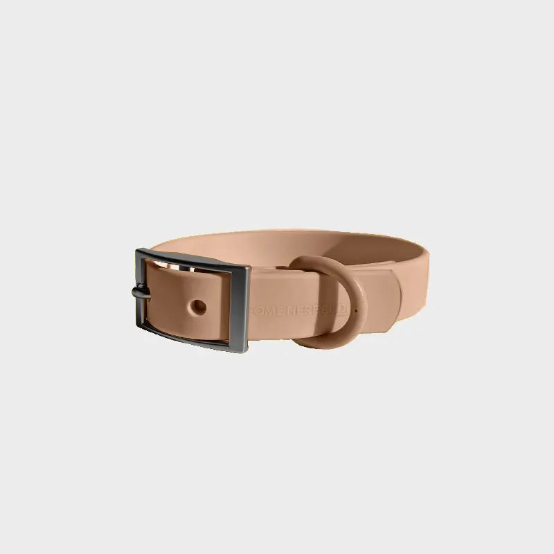 Everyday Collar - K9 Outdoors