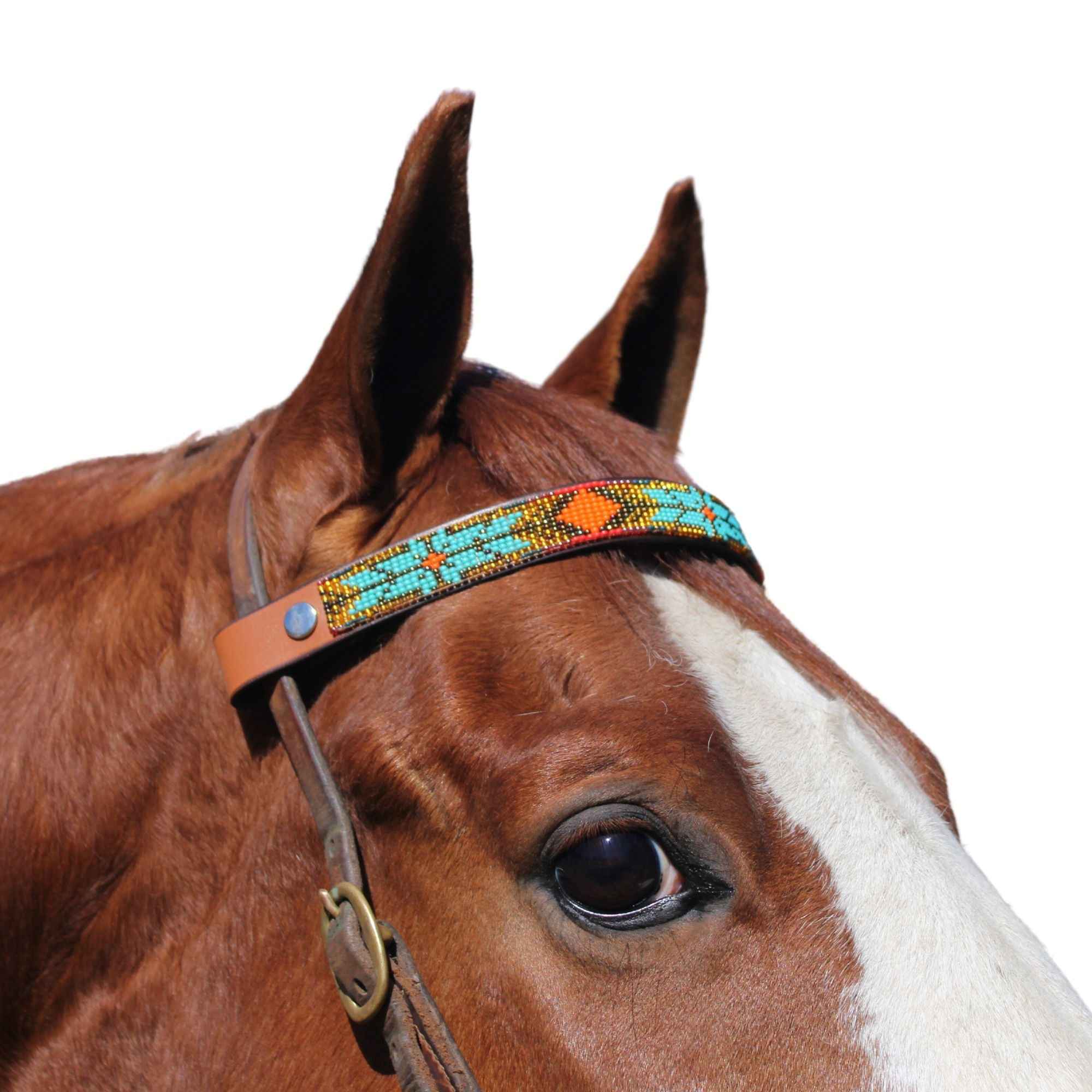 Sardinia Sambboho Horse Browband