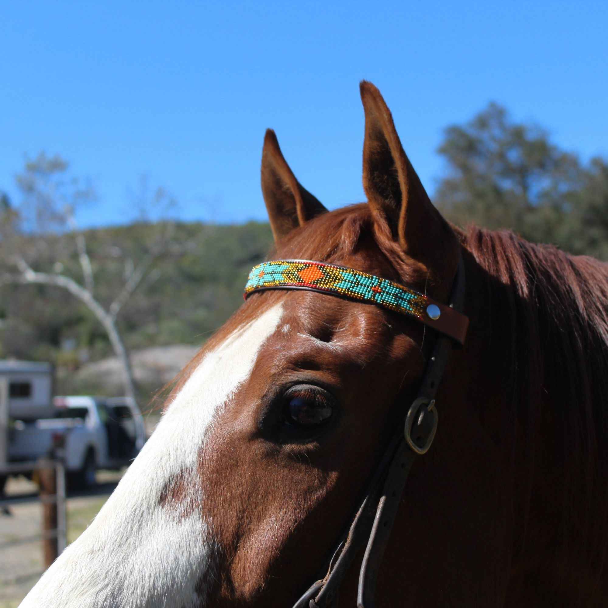 Sardinia Sambboho Horse Browband