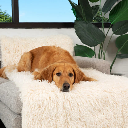 PupProtector™ Luxe Waterproof Bed Runner - Plush Sheep Ivory Paw.com