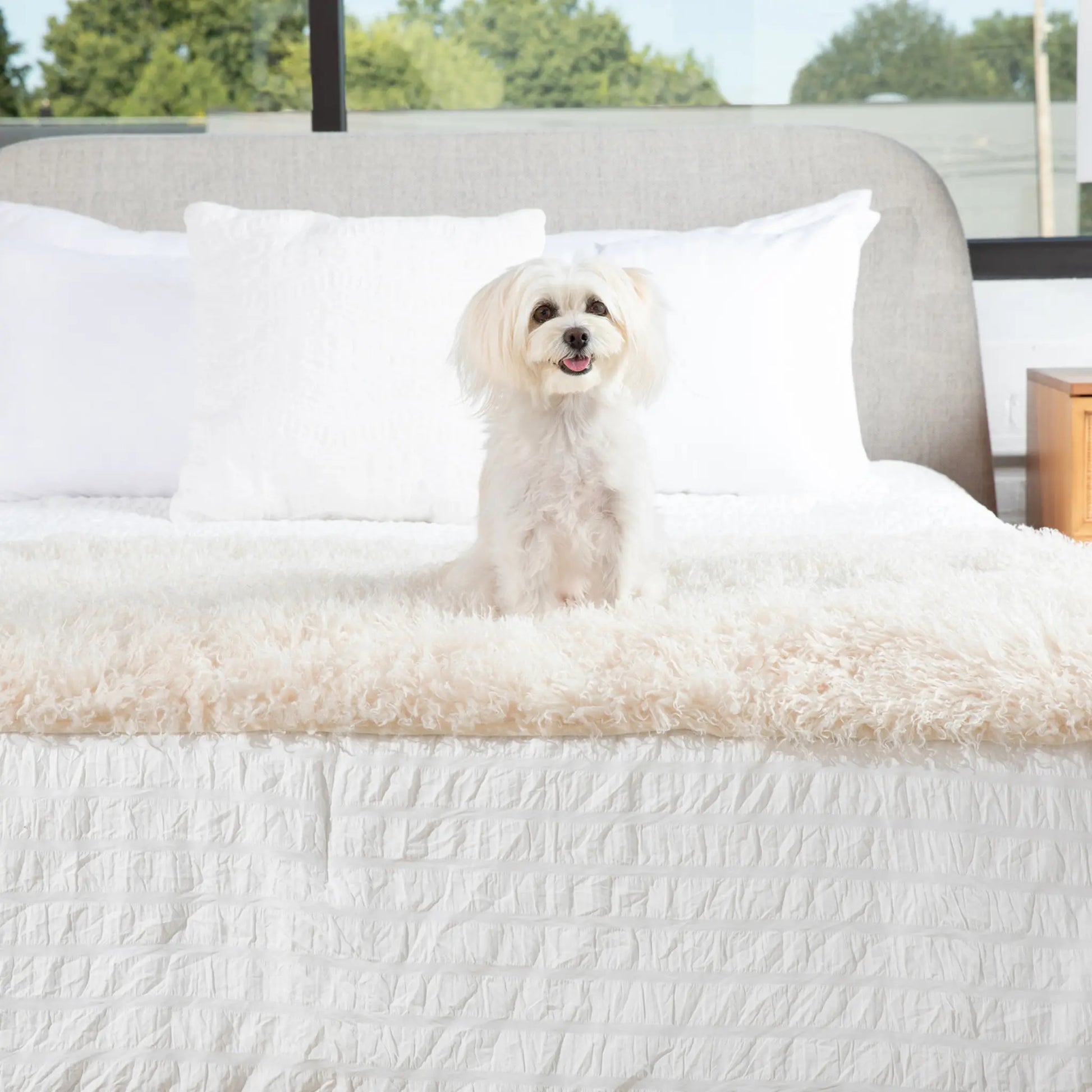 PupProtector™ Luxe Waterproof Bed Runner - Plush Sheep Ivory Paw.com