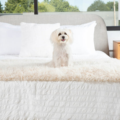 PupProtector™ Luxe Waterproof Bed Runner - Plush Sheep Ivory Paw.com