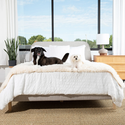 PupProtector™ Luxe Waterproof Bed Runner - Plush Sheep Ivory Paw.com