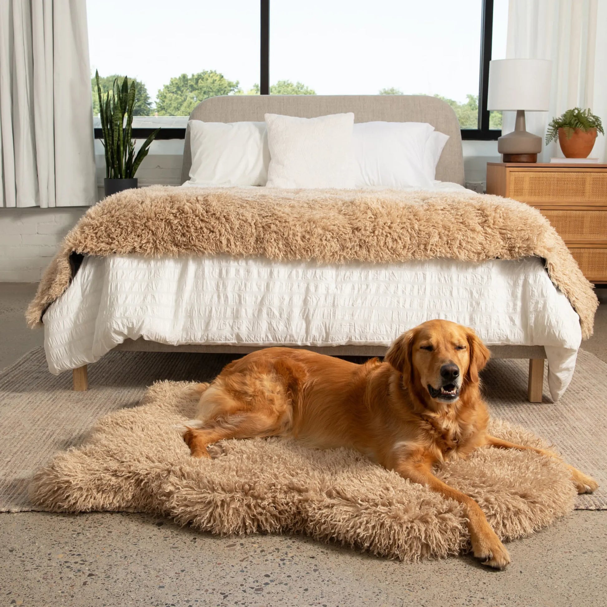 PupRug™ Luxe Faux Fur Orthopedic Dog Bed -  Plush Sheep Tan Paw.com