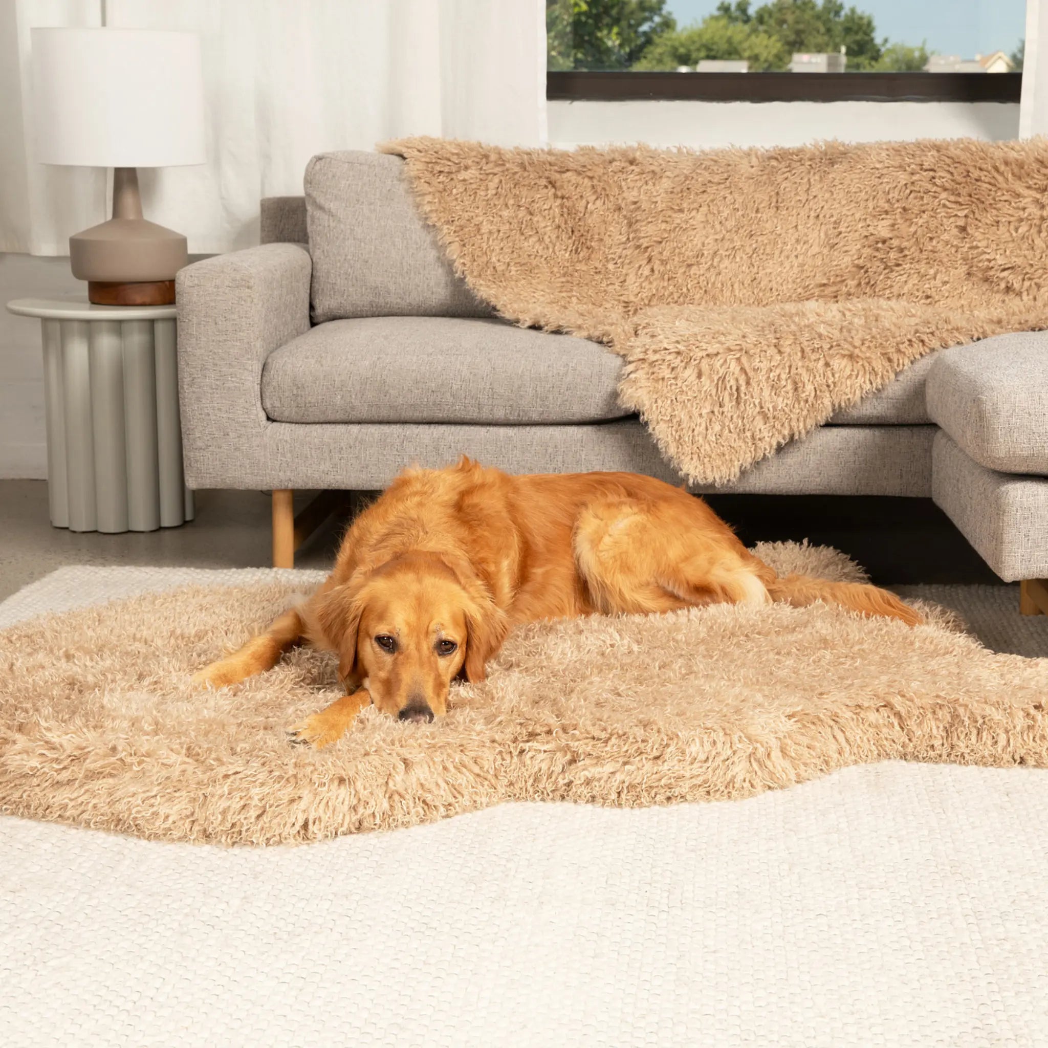 PupRug™ Luxe Faux Fur Orthopedic Dog Bed -  Plush Sheep Tan Paw.com