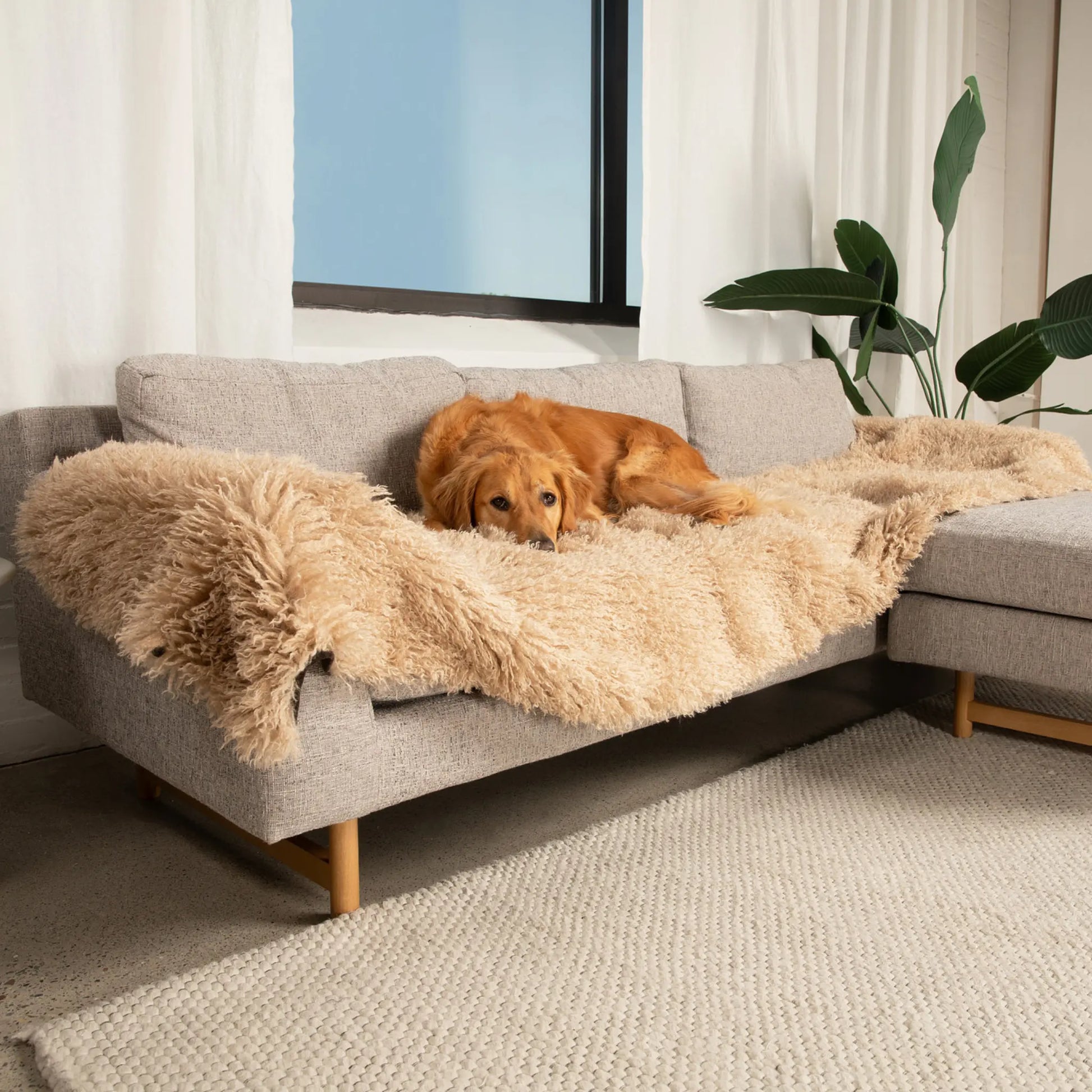 PupProtector™ Luxe Waterproof Bed Runner - Plush Sheep Tan Paw.com