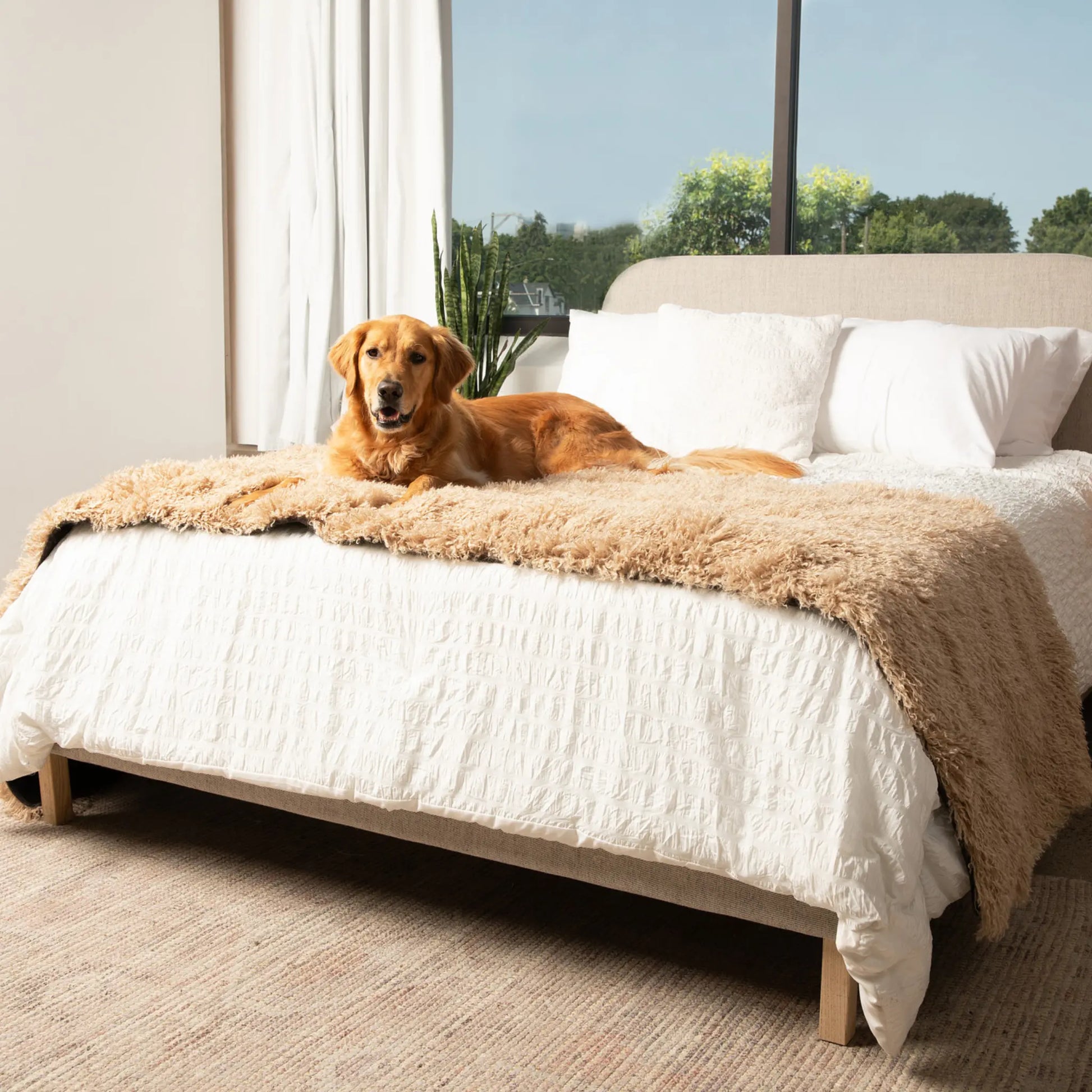PupProtector™ Luxe Waterproof Bed Runner - Plush Sheep Tan Paw.com