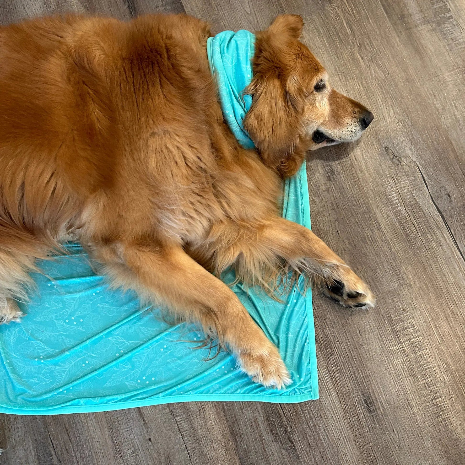 CoolingPals Dog Cooling Sheet WOOFESSENTIAL