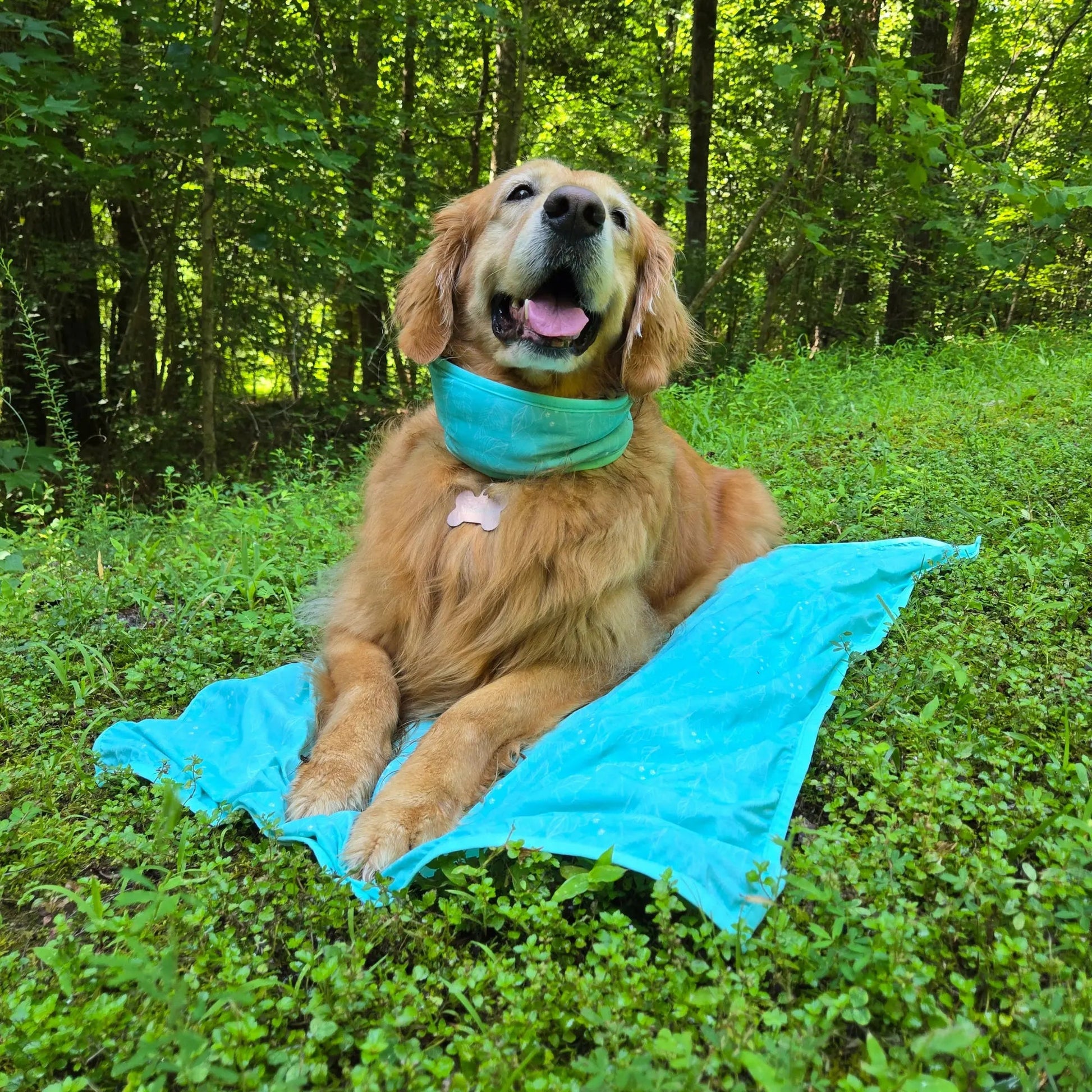 CoolingPals Dog Cooling Sheet WOOFESSENTIAL