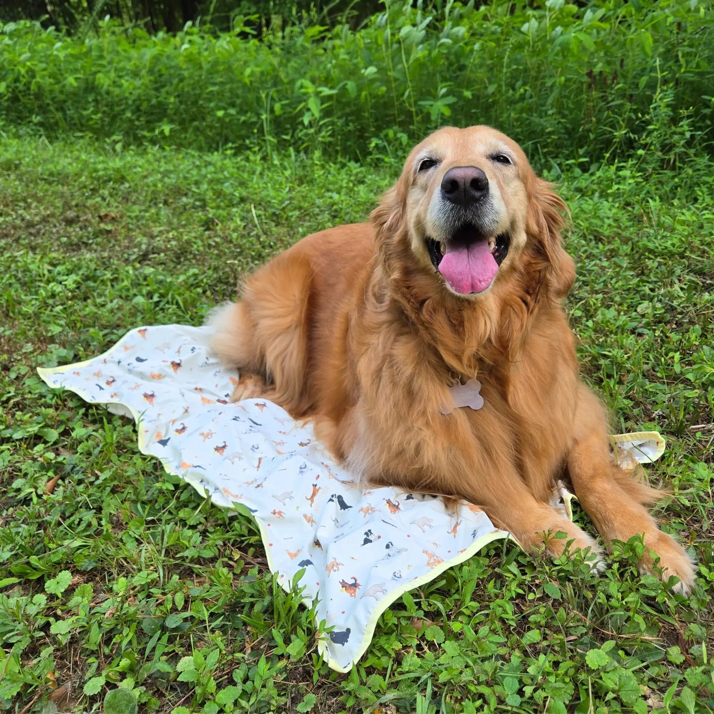 CoolingPals Dog Cooling Sheet WOOFESSENTIAL