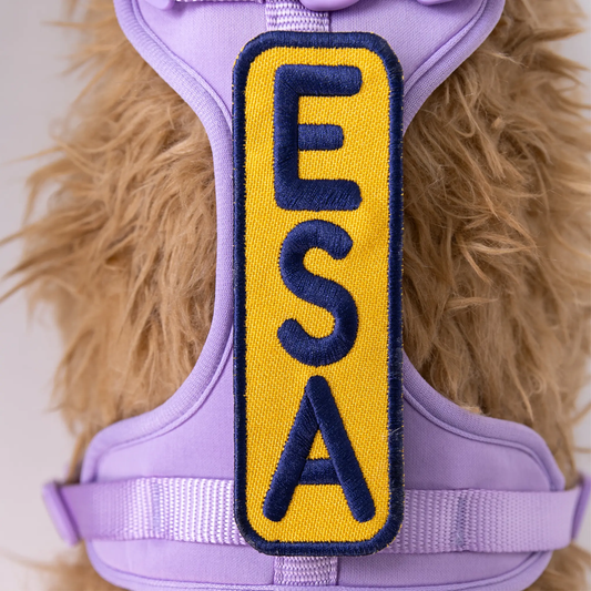 ESA 2x6 Patch K9 Sport Sack