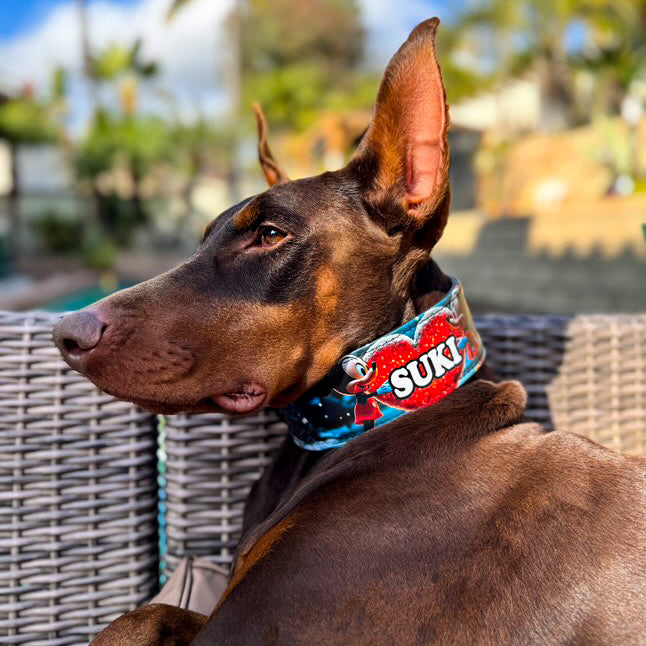 Bestia Mickey Leather Collar & Leash Set – Limited Edition
