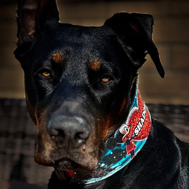 Bestia Mickey Leather Collar & Leash Set – Limited Edition