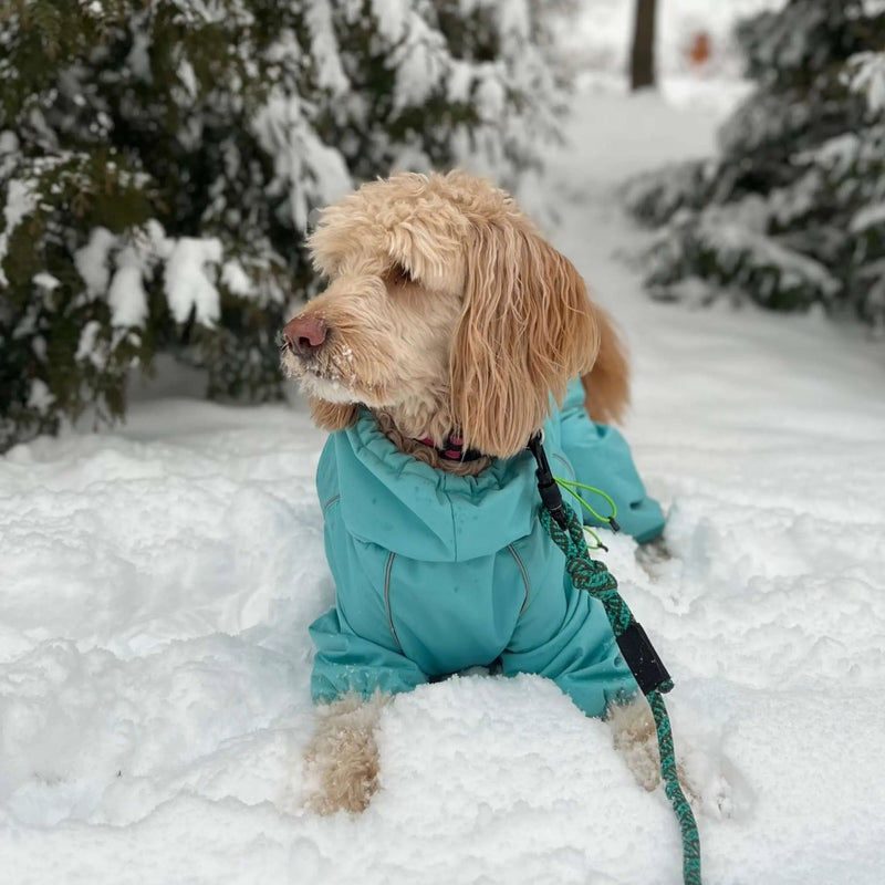 Snow Warrior Suit