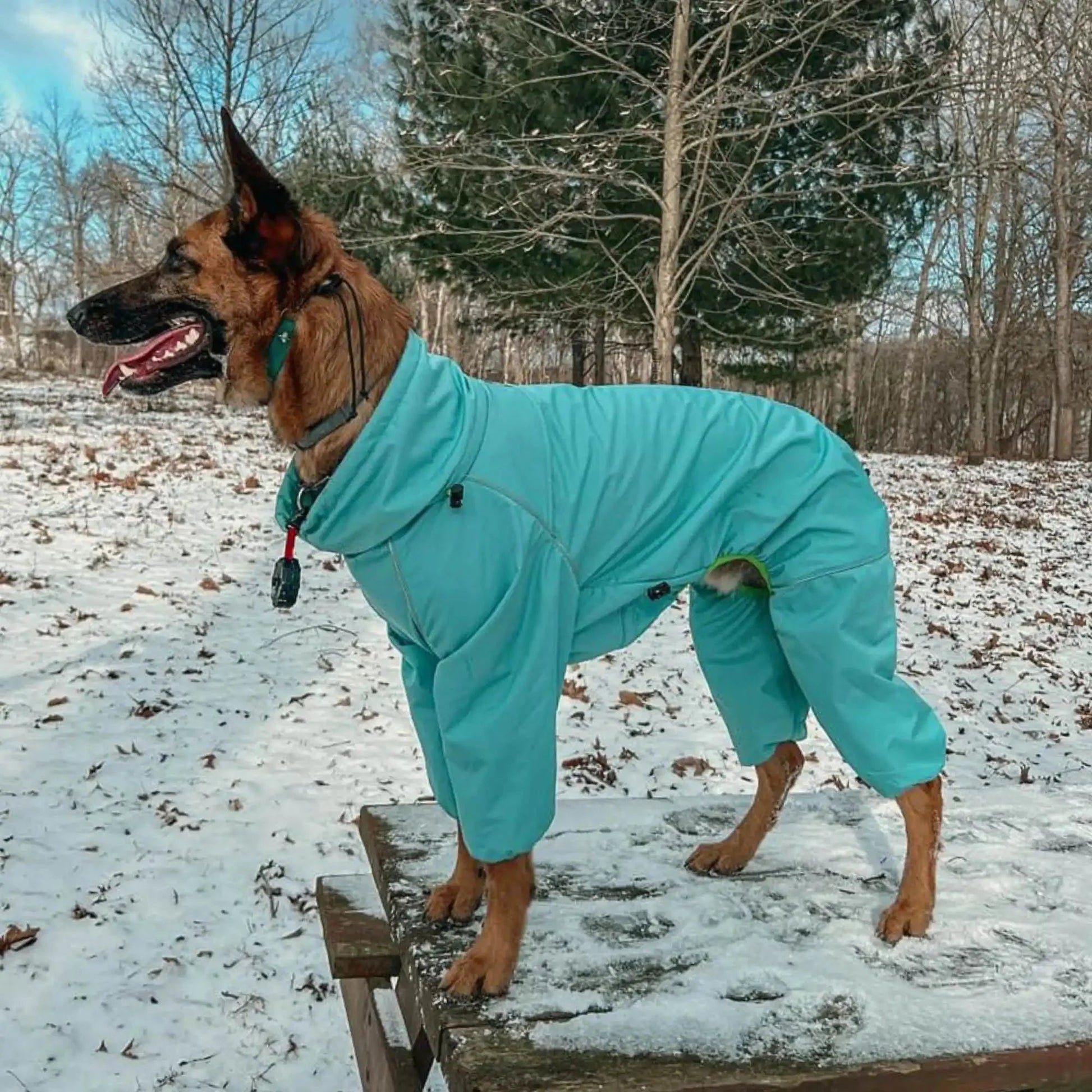 Snow Warrior Suit WOOFESSENTIAL
