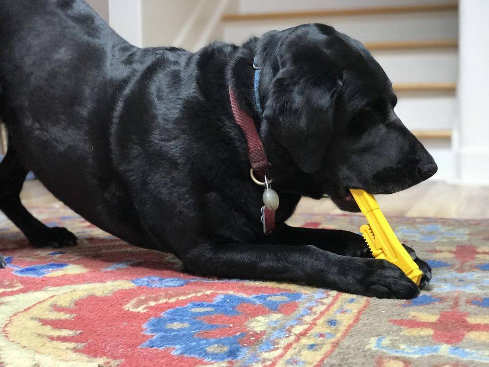 Pipe Wrench Nylon Dog Toy for Aggressive Chewers | USA Made | SodaPup