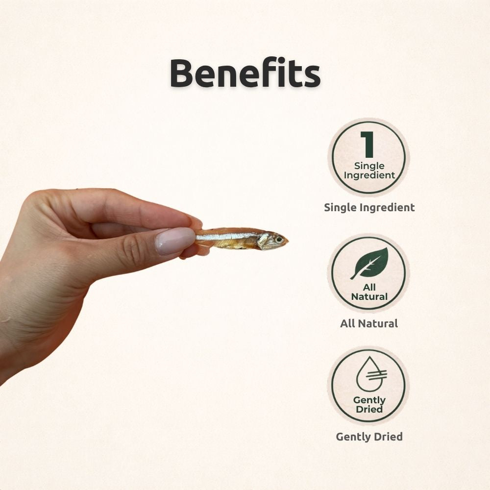 Freezbone Sprats Dog Treats - Single ingredient High Protein  (Value Size 8 oz)